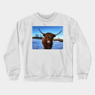 Scottish Highland Cattle Cow 2281 Crewneck Sweatshirt